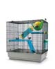 Klec Freddy Max